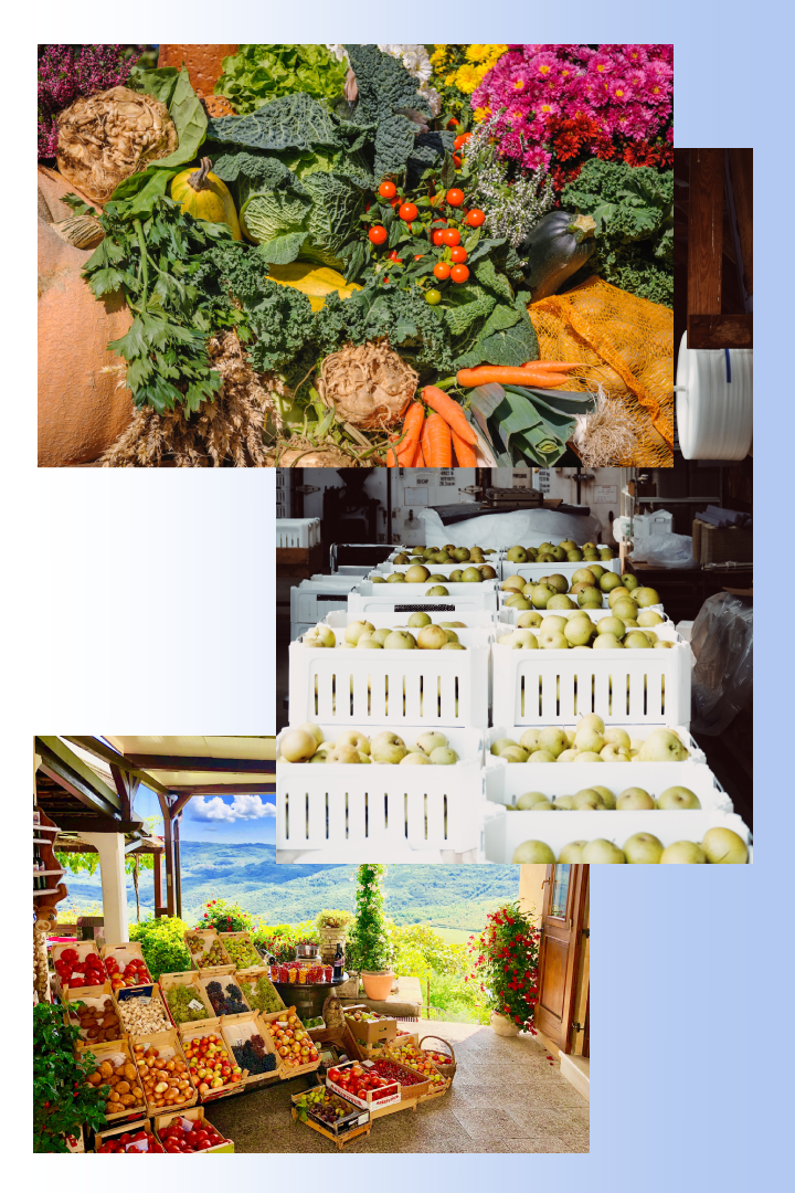 emballage levensmiddelen fruit en groente